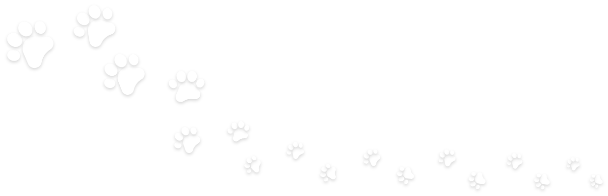 MarianaRios_white_footprints